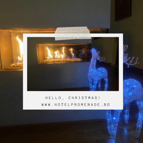 КОЛЕДНИ ПАКЕТИ